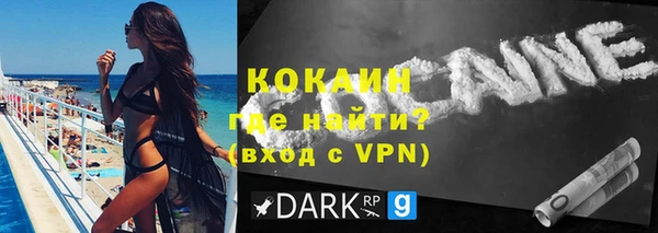 сатива Заводоуковск