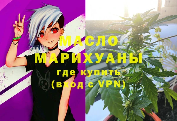 сатива Заводоуковск
