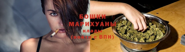 сатива Заводоуковск