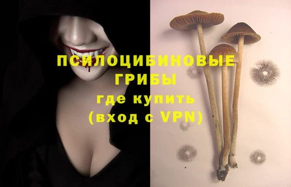 тгк Заволжск
