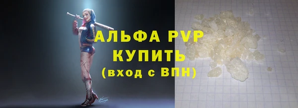 сатива Заводоуковск