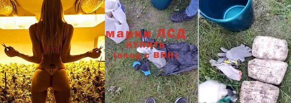 сатива Заводоуковск