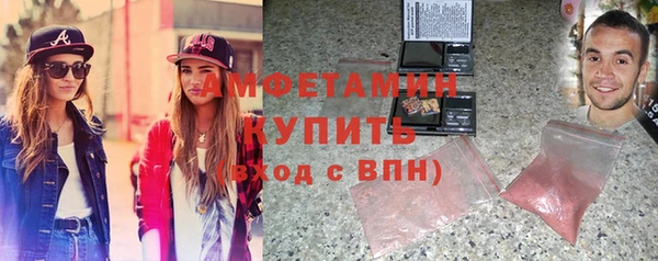 сатива Заводоуковск
