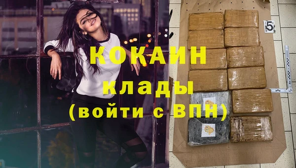 сатива Заводоуковск
