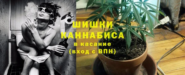 PSILOCYBIN Заволжье