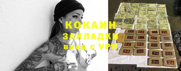 PSILOCYBIN Заволжье