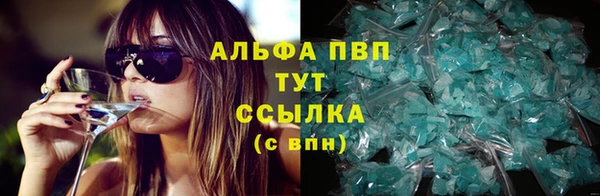 PSILOCYBIN Заволжье