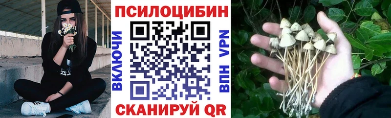 Галлюциногенные грибы ЛСД  Купить  Горнозаводск 